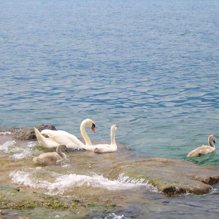 Beatrice Brenzone sul Garda