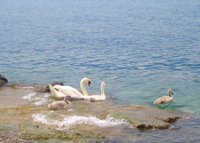 Beatrice Brenzone sul Garda
